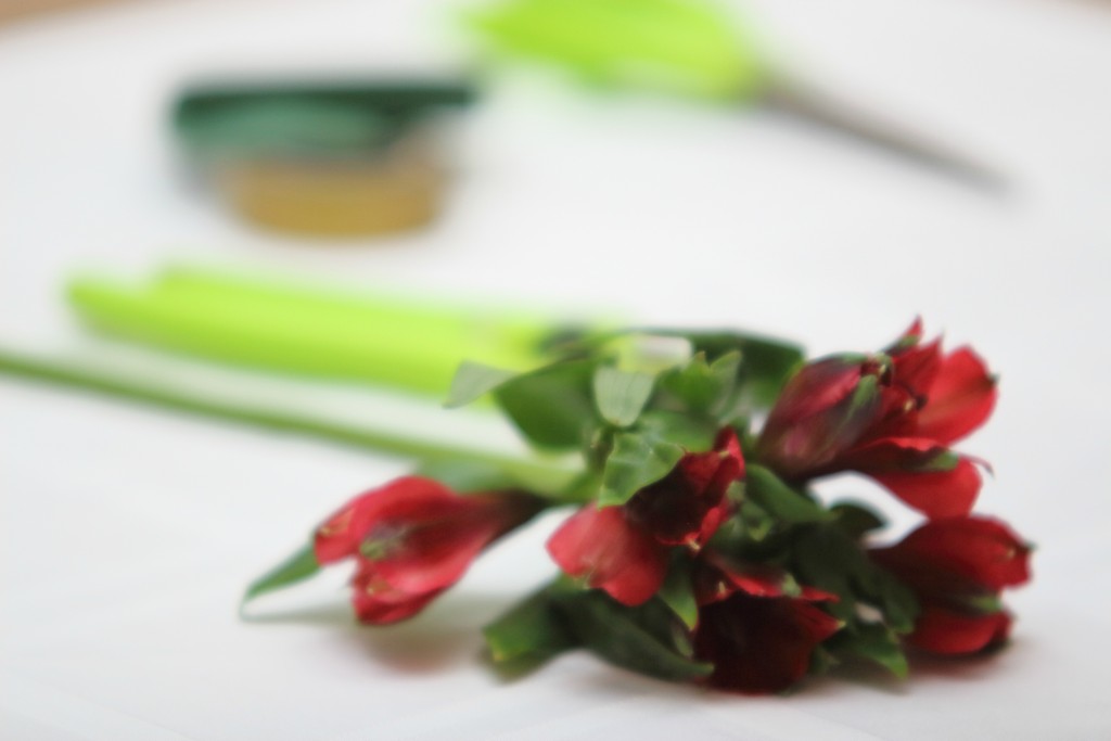 Grand Rapids Wedding Planner and Floral Designer - DIY Christmas Holiday Flower Arrangement Centerpiece - Step 1