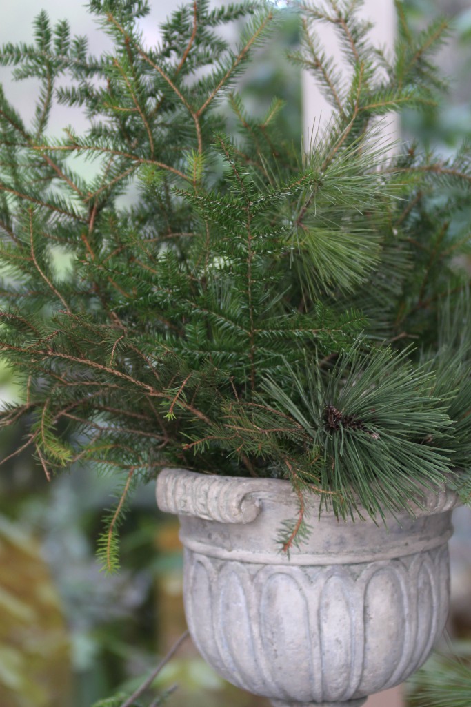Grand Rapids Wedding Planner and Floral Designer - DIY Holiday Planter - Christmas evergreen and berry planter or urn - Step 4