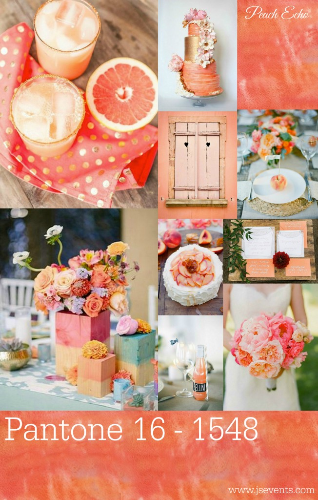 Grand Rapids Wedding Planner, Floral Designer - Pantone's colors for Spring 2016 - Peach Echo 16-1548